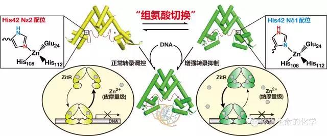 微信图片_20190508094556.jpg