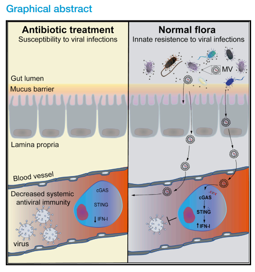 1652665226326081836.png image.png