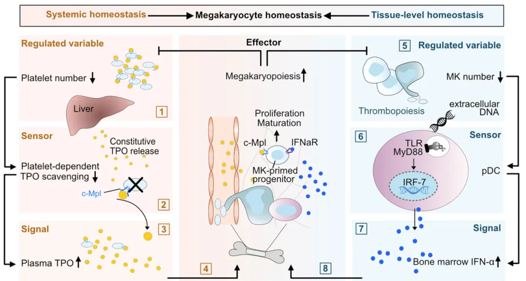 1741056350312003175.png 1725243164724.png