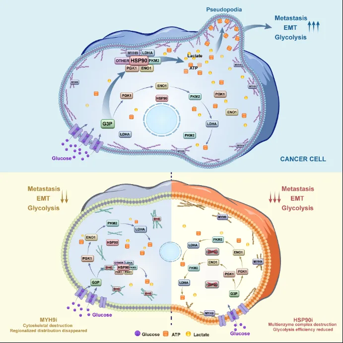 1741064844711032289.png 1718601446747.png