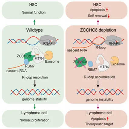 1765760788127016026.png 微信图片_2025-12-15_090601_323.png